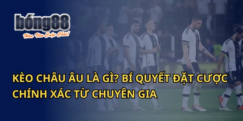 Kèo châu Âu là gì? Bí quyết đặt cược từ chuyên gia của Bong88 