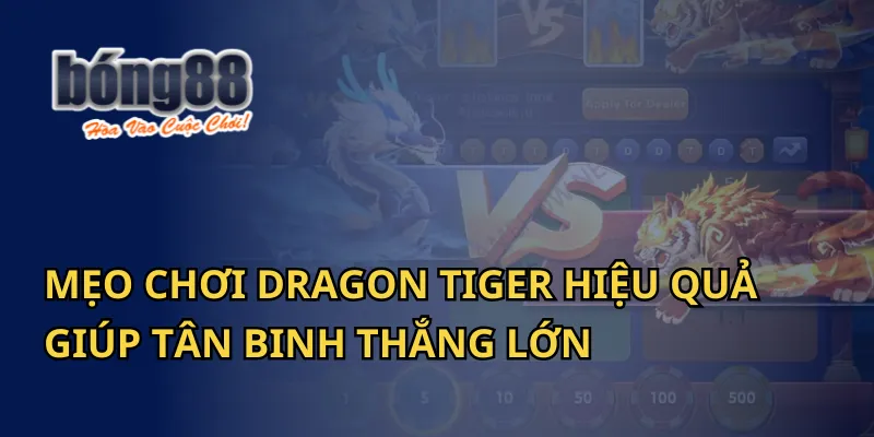 Mẹo Chơi Dragon Tiger Hiệu Quả Giúp Tân Binh Thắng Lớn Tại Bong88 